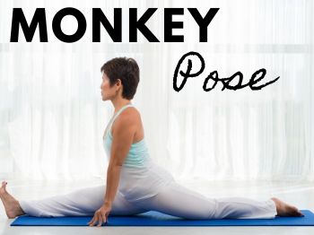Monkey pose for figure skaters